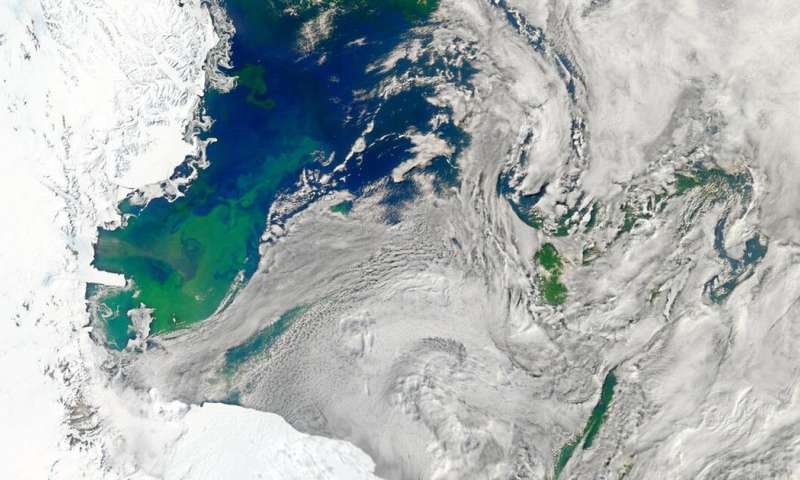 Heat and cold alter how animals fight disease. As the climate changes, this knowledge may be vital