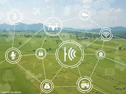 AGRICULTURE’s PERFORMANCE in Q1 of 2022