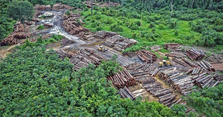 How harvested wood products can create climate friendly solutions