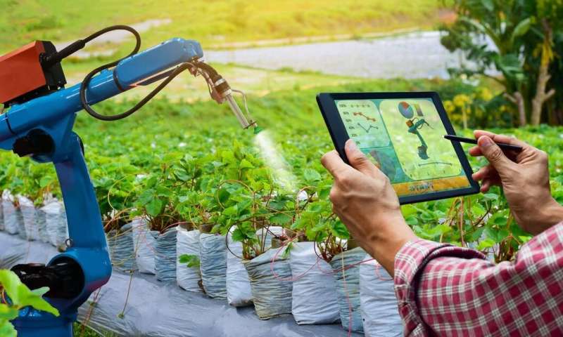 Five ways future farms could feed nine billion.