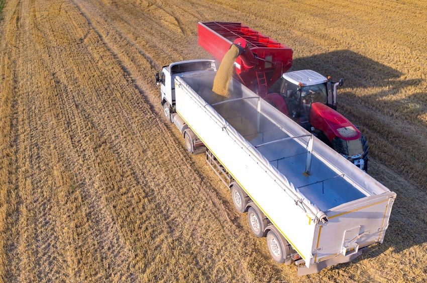 Innovative platform links farmers to those feeding the poor