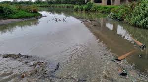 More than half a million tonnes of sewage sludge spread on Scotland's fields