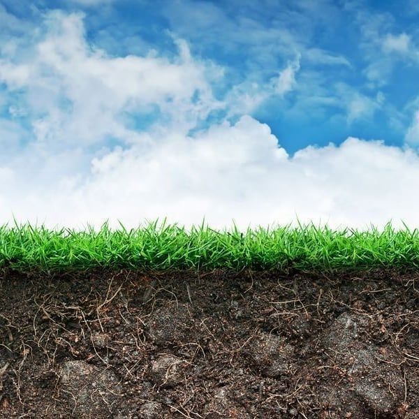  Quality of Farmland in South Africa, especially around cities