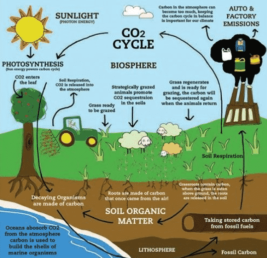 Sustainable Soil Management