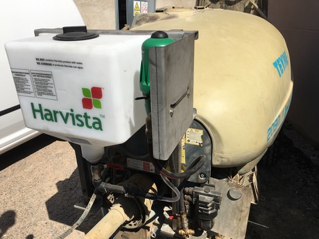 Gaining control over fruit maturity at harvest