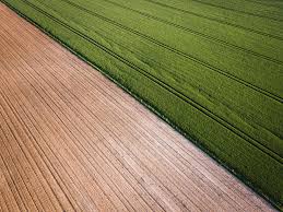  World of Agriculture without emissions
