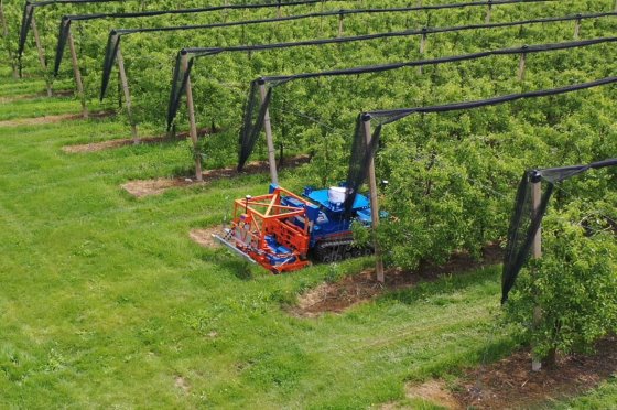 Dry-Farmed Collective launches to protect South Africa's rain-fed vineyards